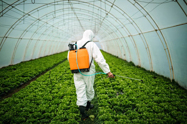Best Pest Control Near Me  in Shillington, PA