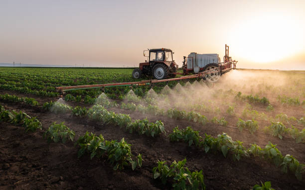 Best Commercial Pest Control Services  in Shillington, PA