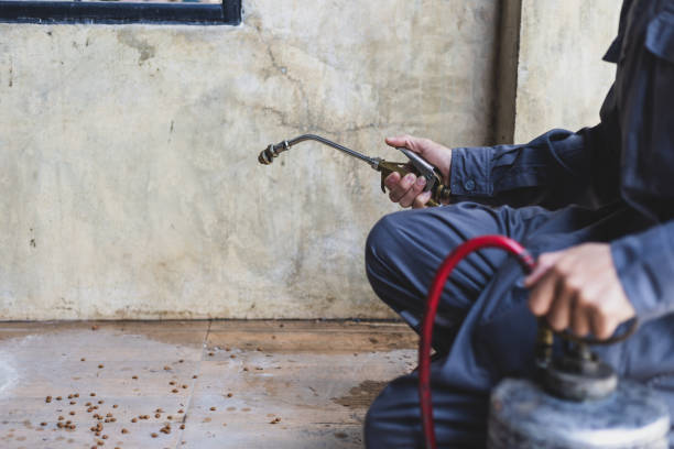 Best Termite Control Services  in Shillington, PA